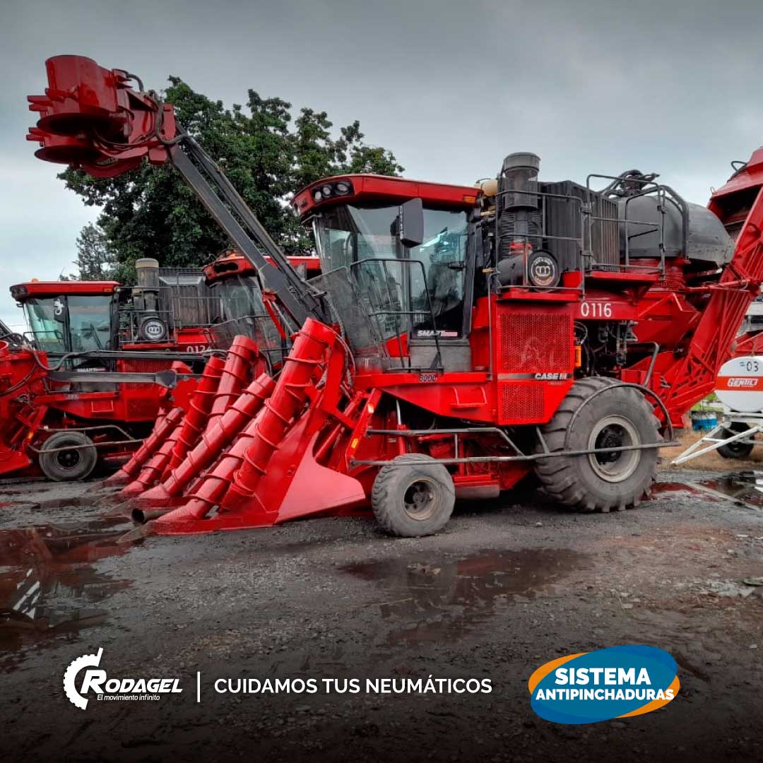 Gracias Ingenio Corona por confiar en Rodagel