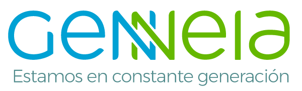 Medición de Espesores en Planta de Gas